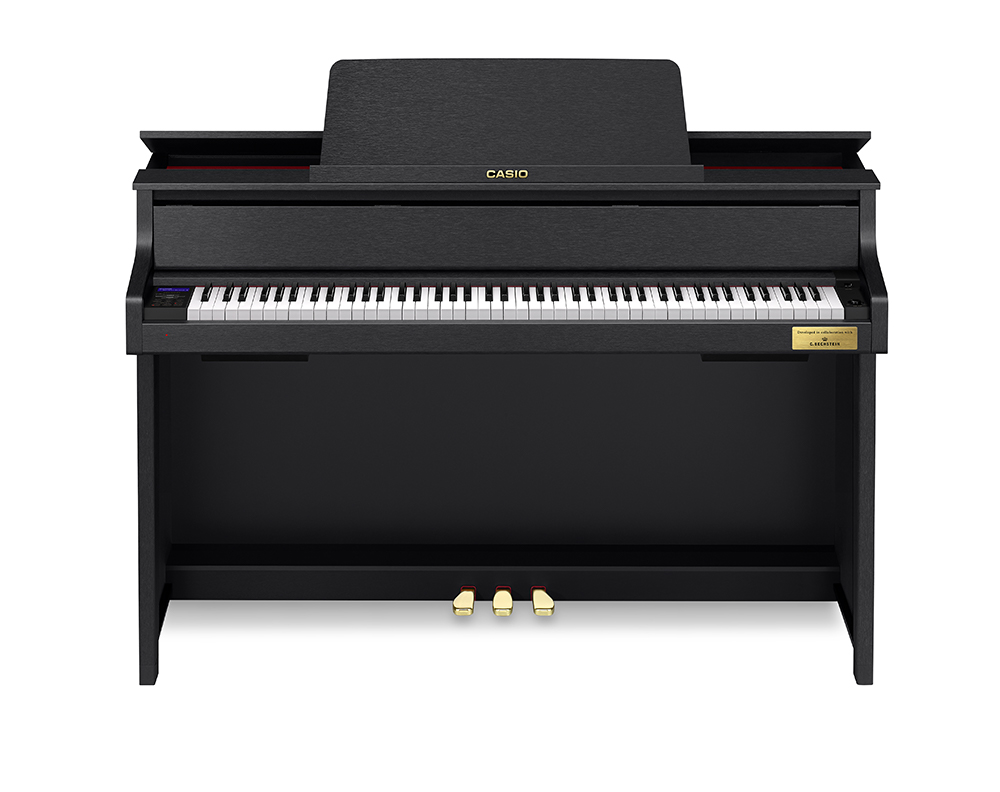 casio gp310